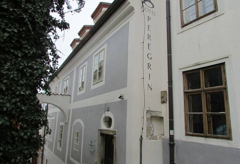 Отель Peregrin