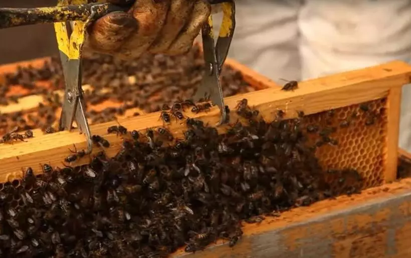 هتل روستایی Quinta Da Meia Eira