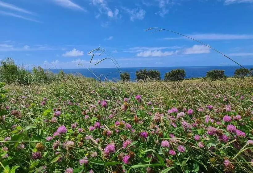 هتل روستایی Quinta Da Meia Eira