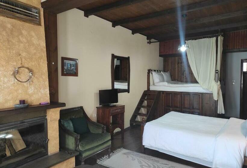 Отель Xenonas Brizi