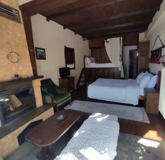 Отель Xenonas Brizi