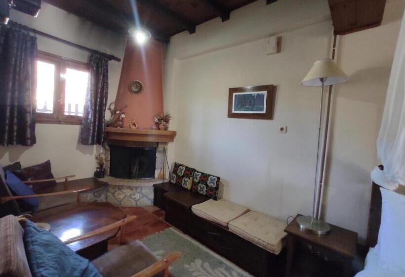 Отель Xenonas Brizi