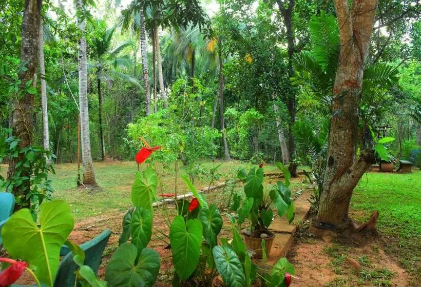 Majatalo Leesa Villa Safari Resort