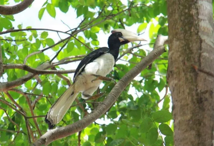 Majatalo Leesa Villa Safari Resort