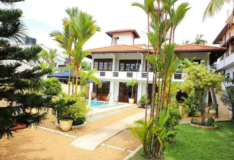 הוסטל Sky And Sand Guesthouse