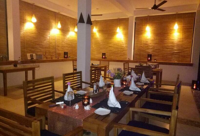 הוסטל Sky And Sand Guesthouse