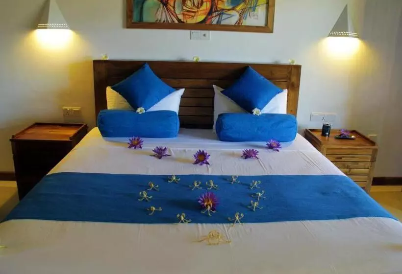 ユースホステル Sky And Sand Guesthouse