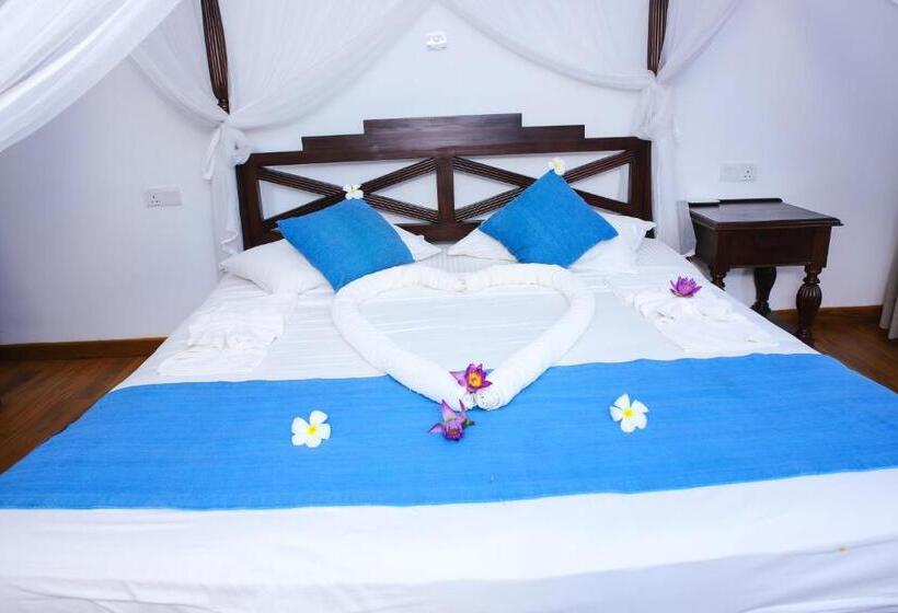 הוסטל Sky And Sand Guesthouse