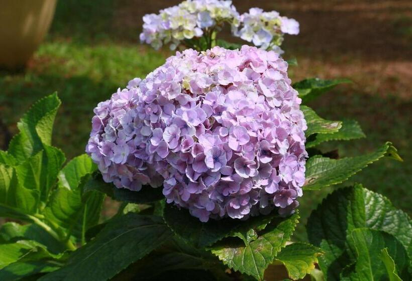 הוסטל Sky And Sand Guesthouse