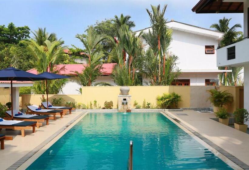 הוסטל Sky And Sand Guesthouse