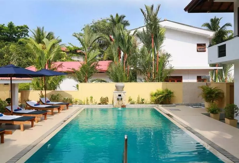 ユースホステル Sky And Sand Guesthouse