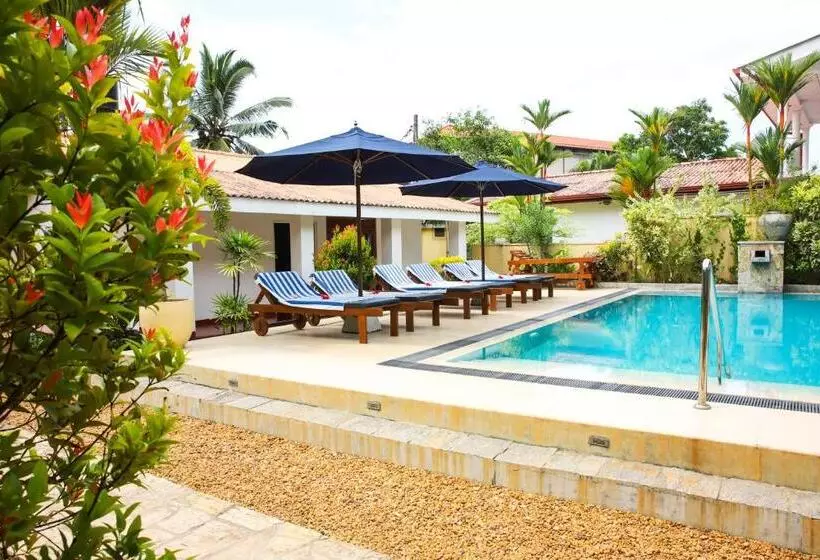 ユースホステル Sky And Sand Guesthouse