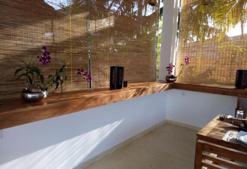 הוסטל Sky And Sand Guesthouse