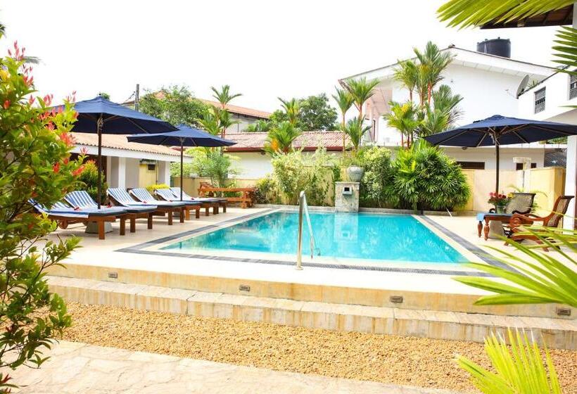 הוסטל Sky And Sand Guesthouse