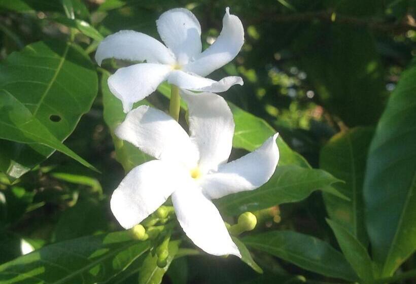 הוסטל Sky And Sand Guesthouse