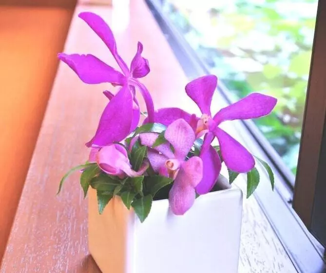 酒店 Almont Inn Tokyo Nihonbashi