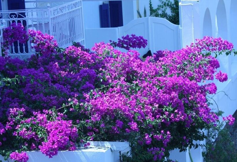 호텔 Aneroussa Beach