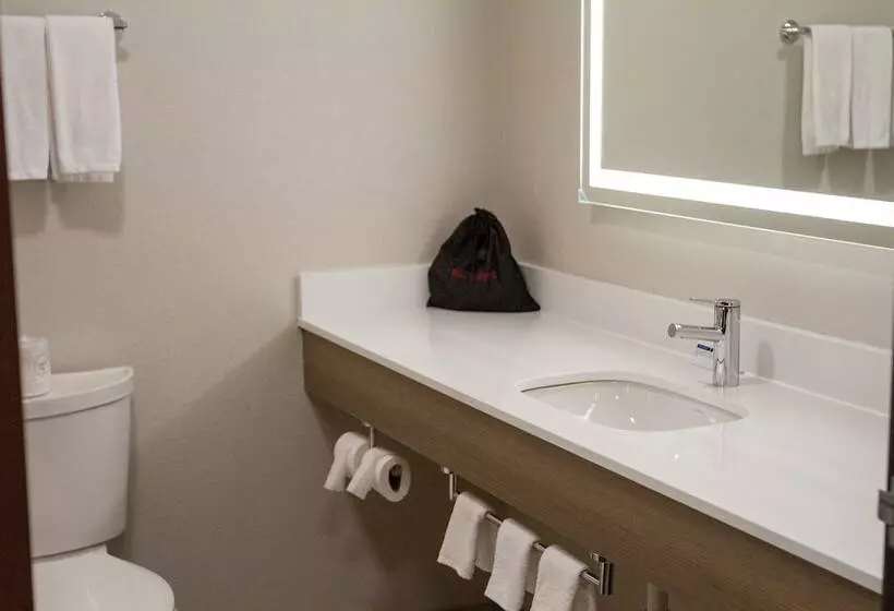 בית מלון כפרי Holiday Inn Express Oneill By Ihg