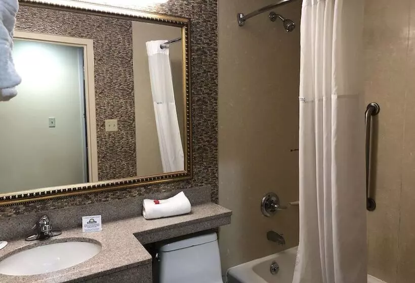 Hotelli Days Inn By Wyndham Brooklyn