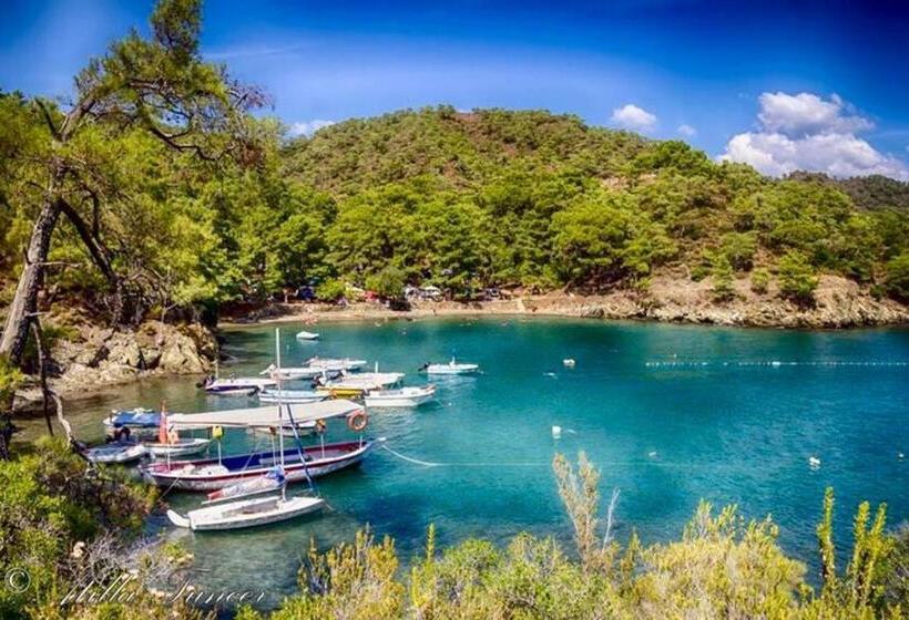 酒店 Green Forest Holiday Village