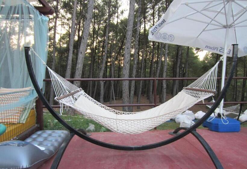 酒店 Green Forest Holiday Village