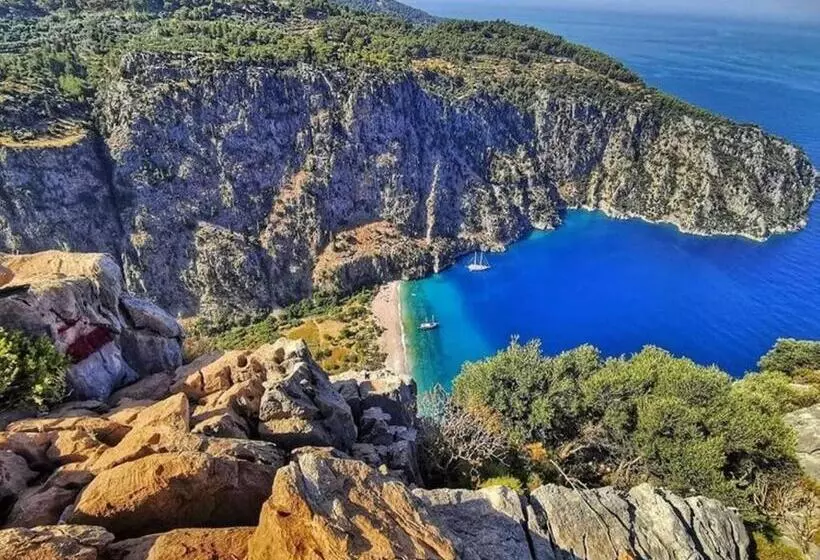 Отель Green Forest Holiday Village