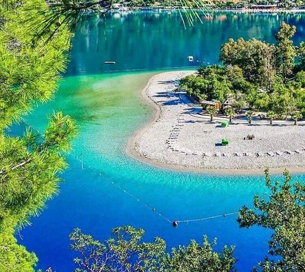 酒店 Green Forest Holiday Village