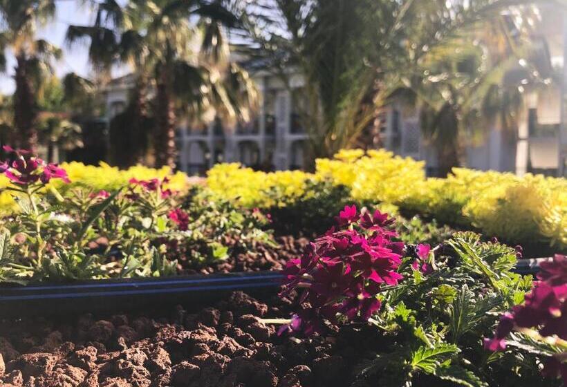 酒店 Green Forest Holiday Village