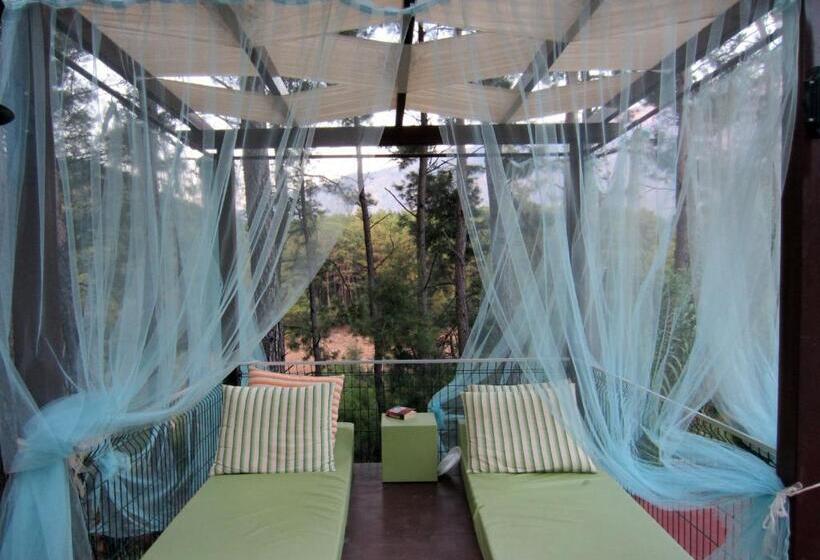 酒店 Green Forest Holiday Village