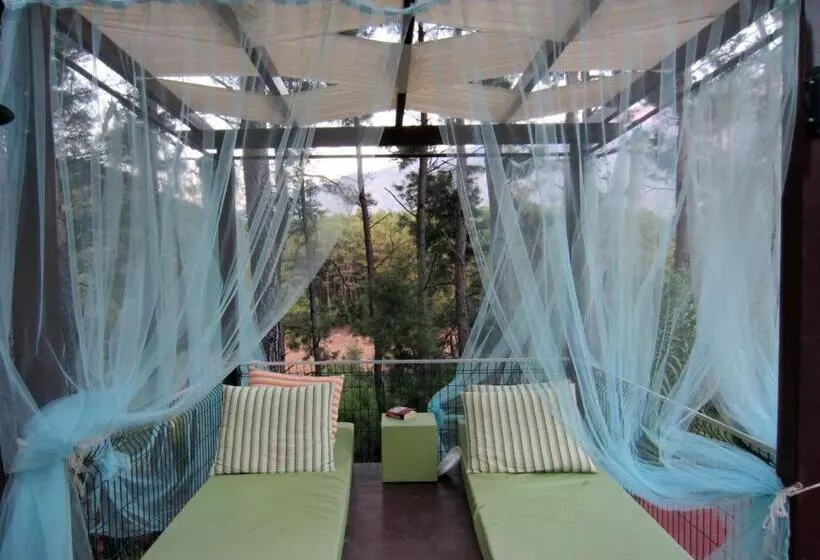 Отель Green Forest Holiday Village