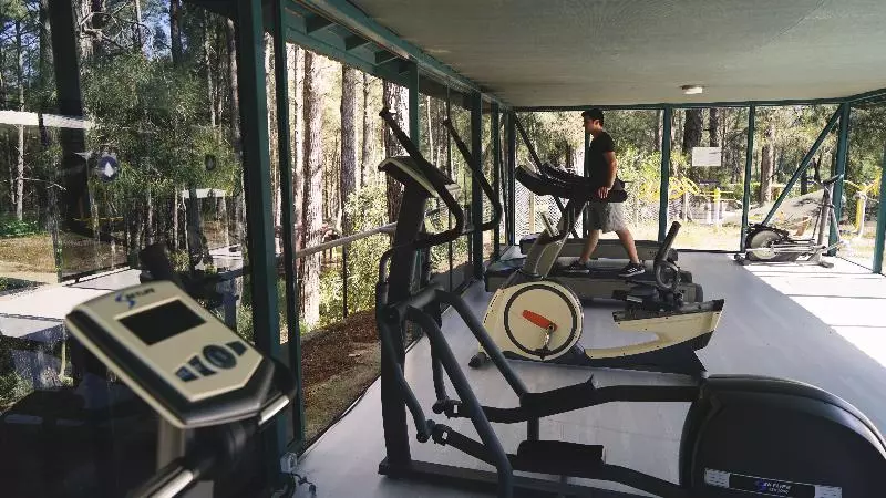 Отель Green Forest Holiday Village