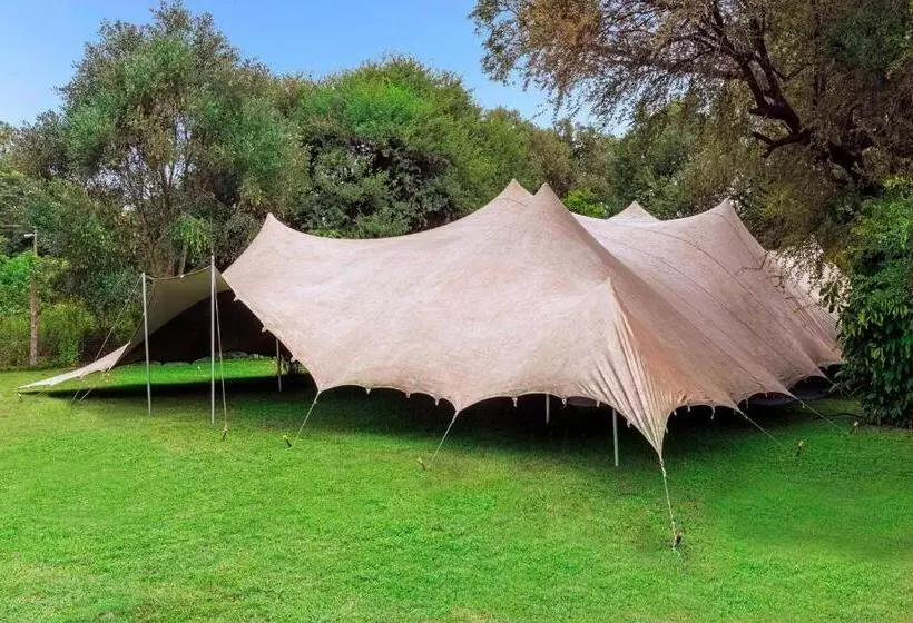 Protea Hotel By Marriott Zambezi River Lodge