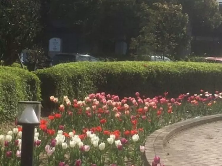 Rihga Royal Hotel Niihama