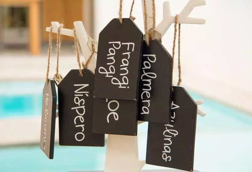 La Casa Del Patio Hotel Boutique By Xarm Hotels