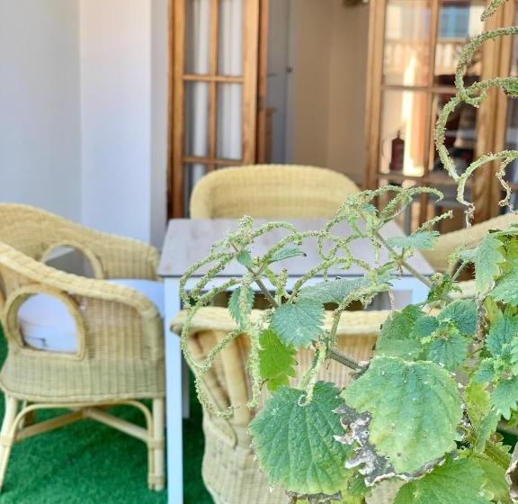 Apartaments Sa Torre By Sureda Mas