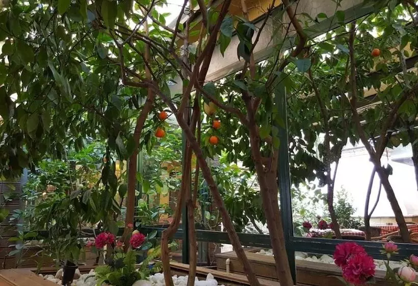 Hotel Boyuguzel Termal