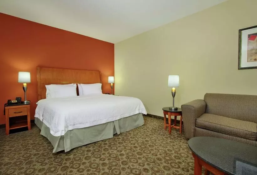 Otel Hampton Inn & Suites Buffalo