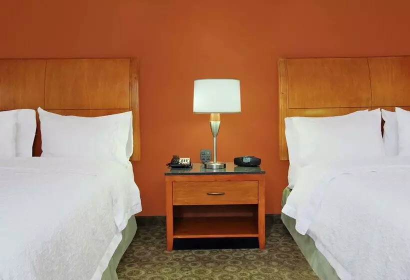 Otel Hampton Inn & Suites Buffalo