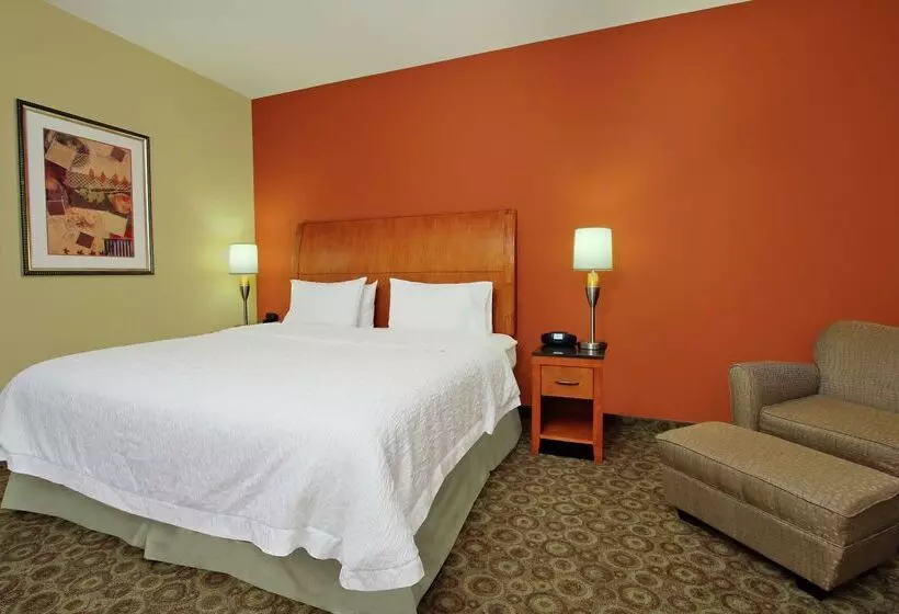 Otel Hampton Inn & Suites Buffalo