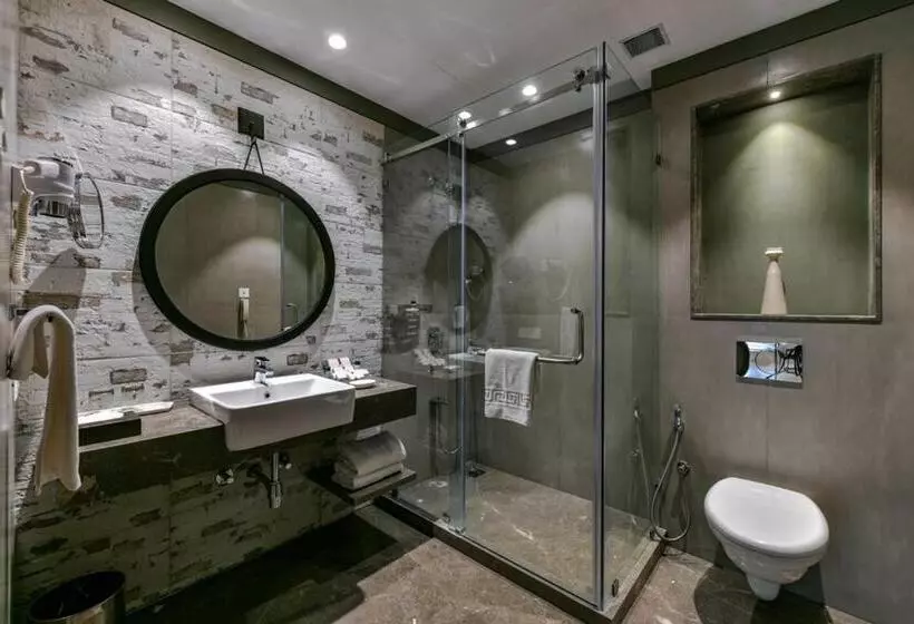 Отель Sun N Sand Shirdi