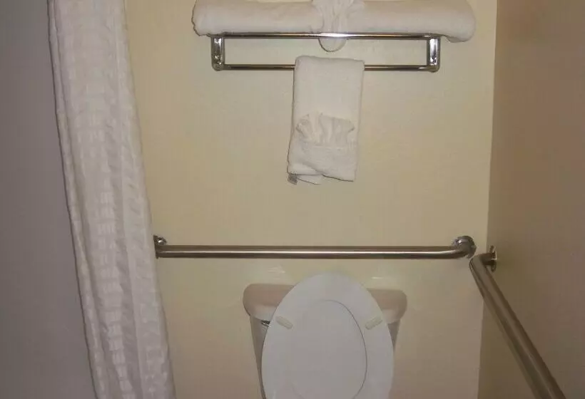 هتل Best Western Greentree Inn & Suites