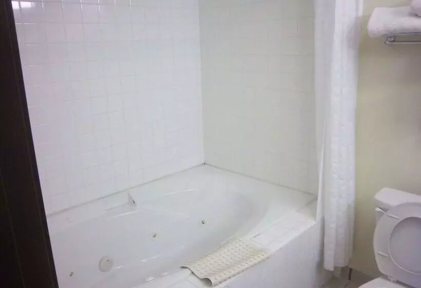 هتل Best Western Greentree Inn & Suites