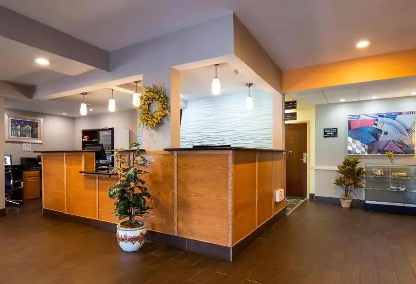 호텔 Comfort Inn & Suites