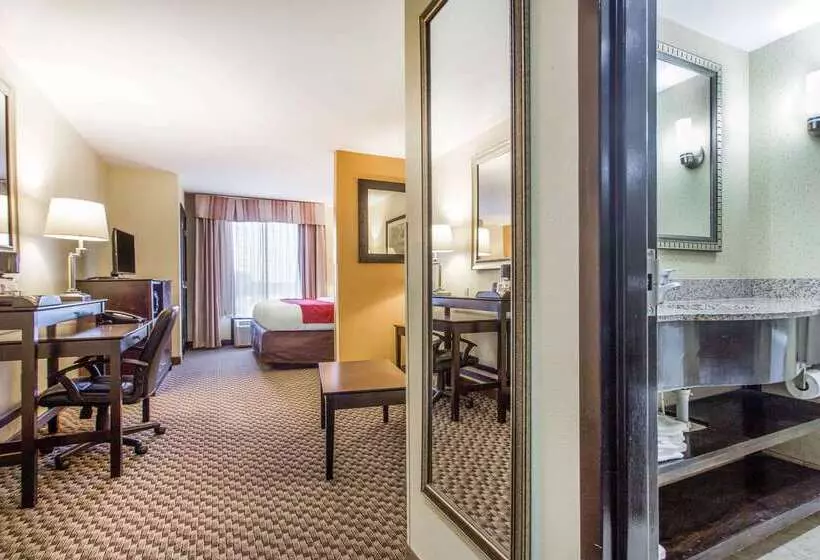 酒店 Comfort Suites Clinton Near Presbyterian College