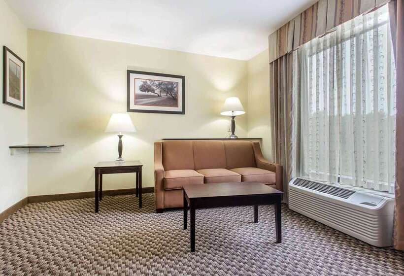 בית מלון כפרי Comfort Suites Clinton Near Presbyterian College