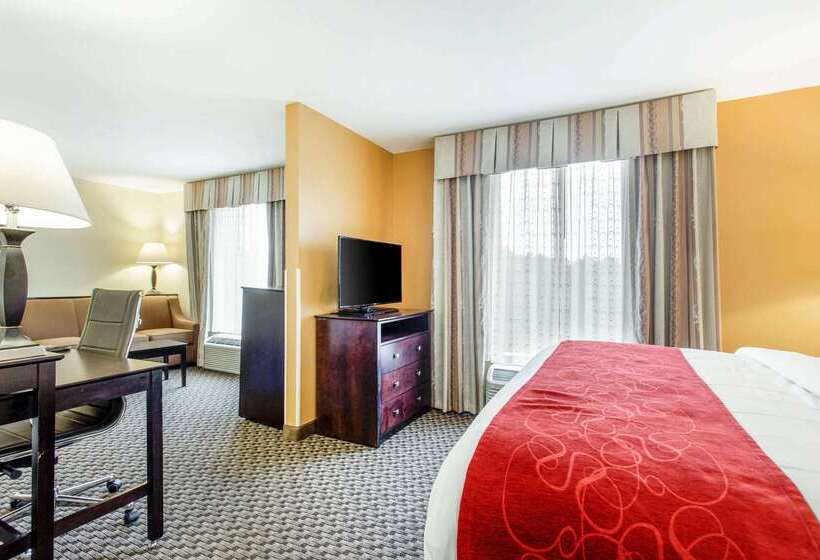 בית מלון כפרי Comfort Suites Clinton Near Presbyterian College