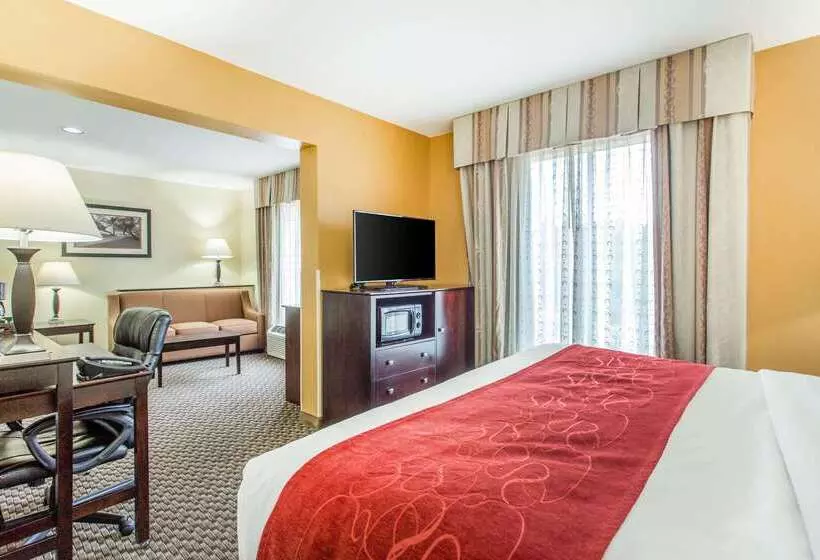 酒店 Comfort Suites Clinton Near Presbyterian College