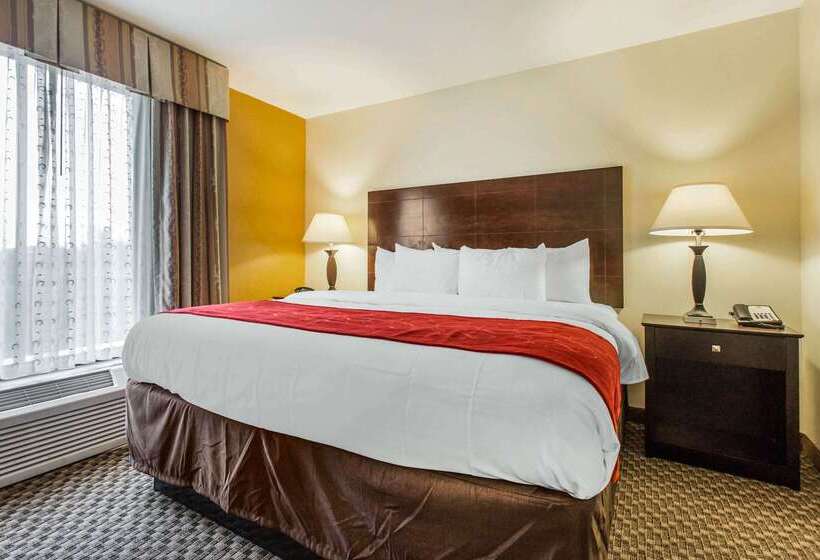 בית מלון כפרי Comfort Suites Clinton Near Presbyterian College