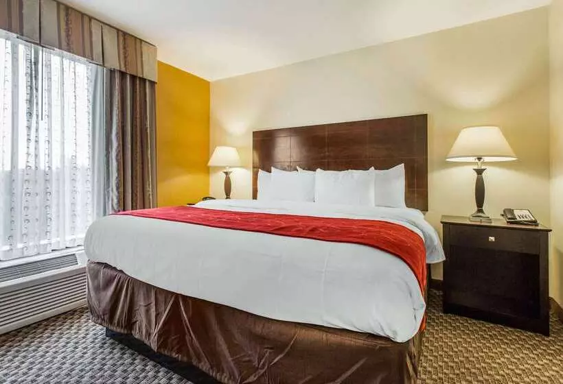 酒店 Comfort Suites Clinton Near Presbyterian College