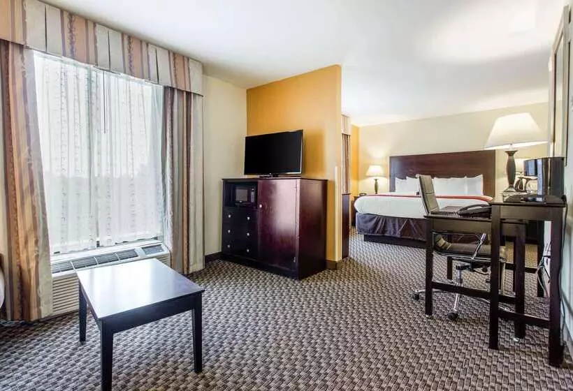 酒店 Comfort Suites Clinton Near Presbyterian College